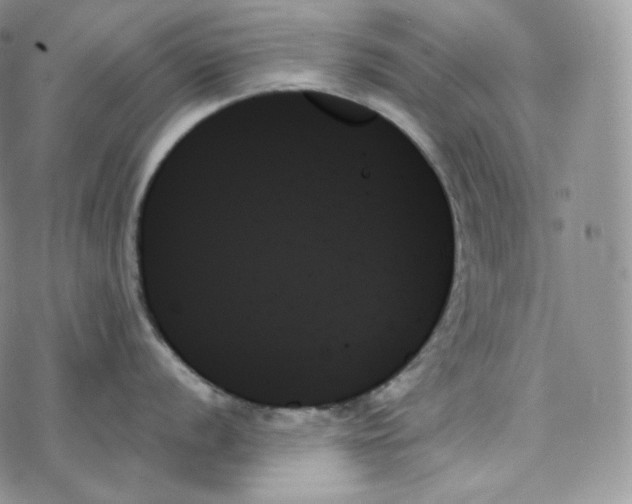 X0000078271056200611251348