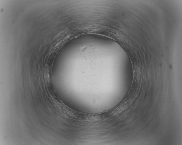 X0000078271058200611251348