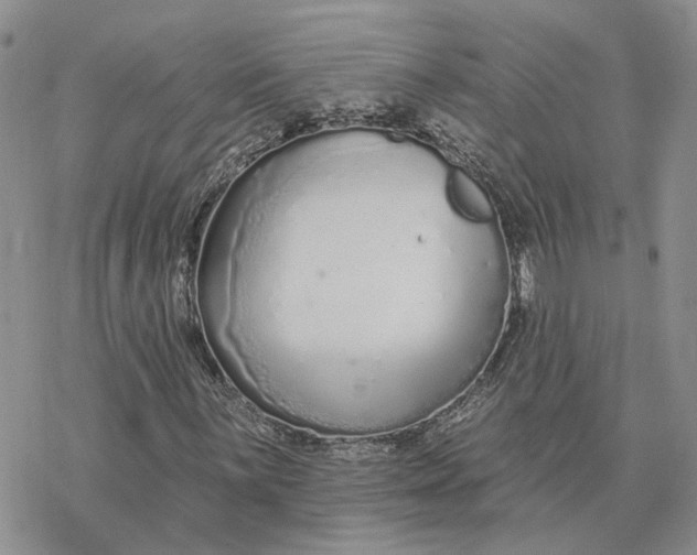 X0000078271059200611251348