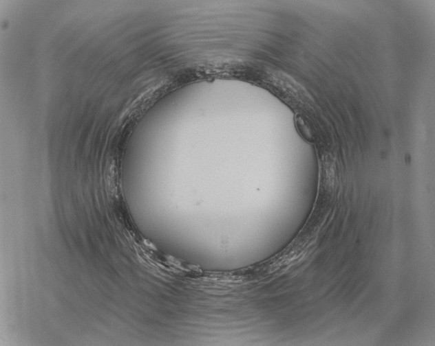 X0000078271060200611251348