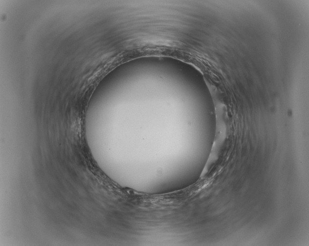 X0000078271061200611251348