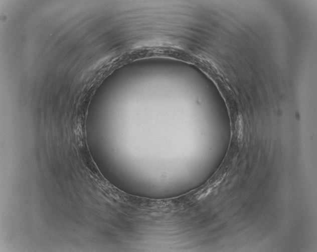 X0000078271062200611251348