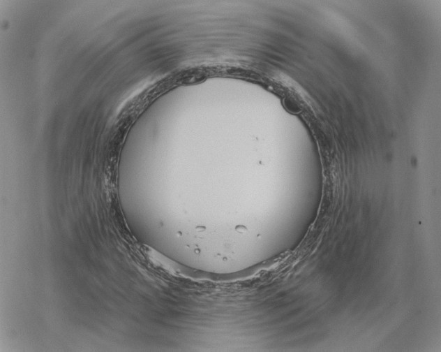 X0000078271064200611251348