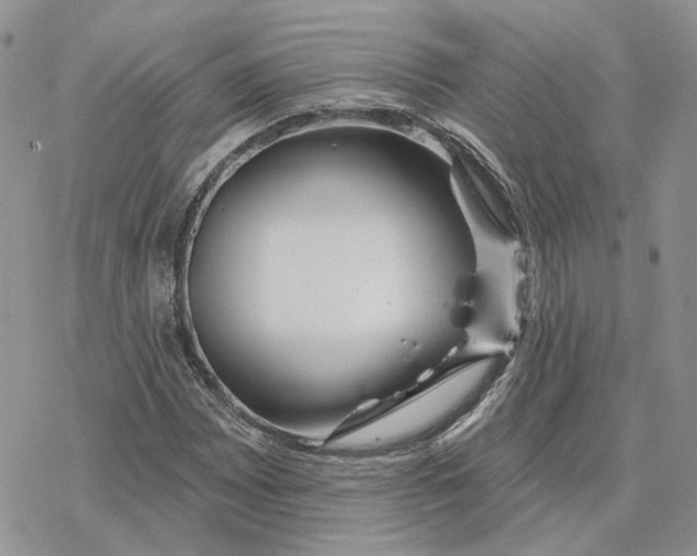 X0000078271065200611251348