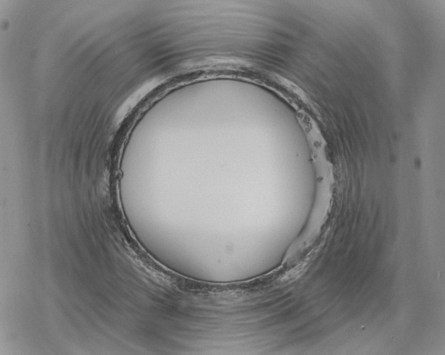 X0000078271066200611251348