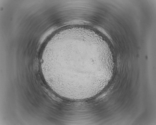 X0000078271067200611251348