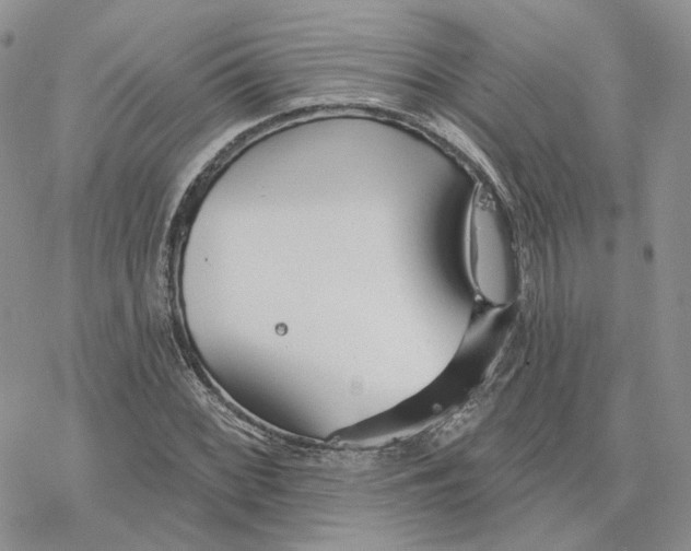 X0000078271068200611251348