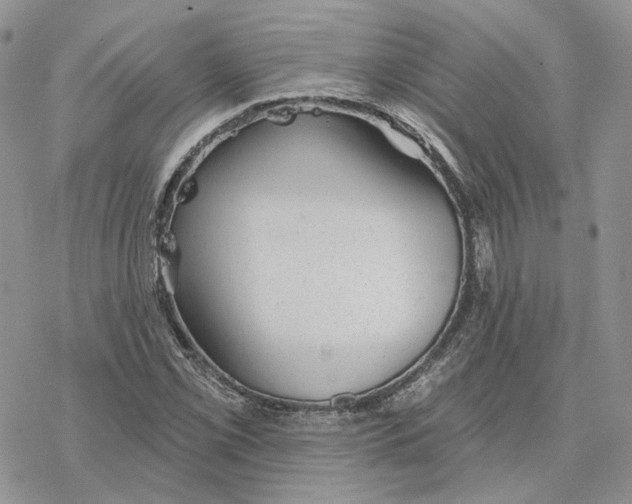 X0000078271069200611251348