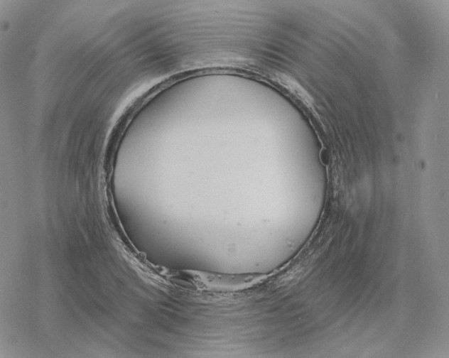 X0000078271072200611251347