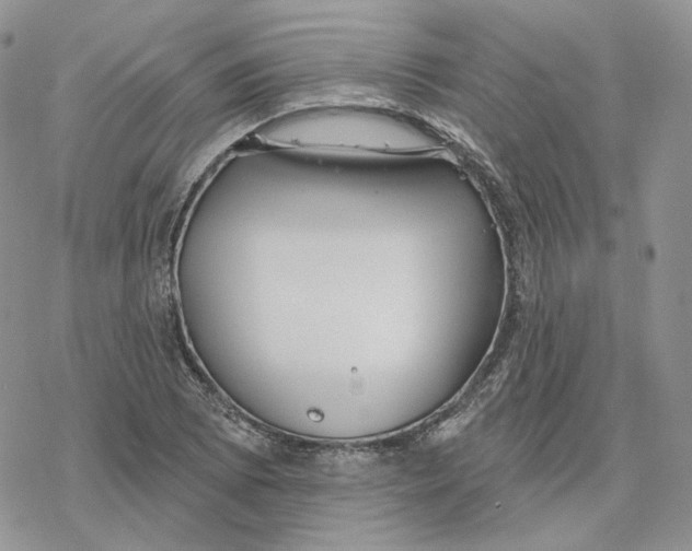 X0000078271073200611251347