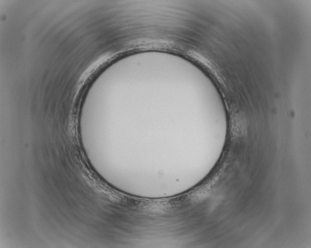 X0000078271074200611251347