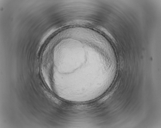 X0000078271075200611251347