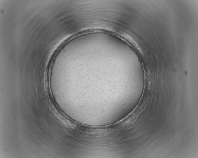 X0000078271076200611251347