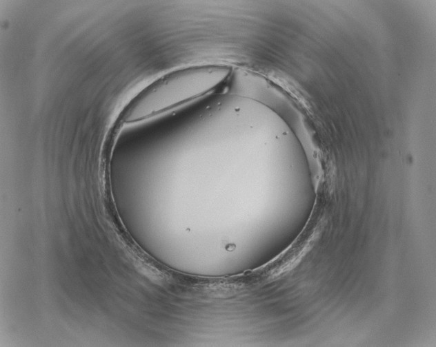 X0000078271077200611251347