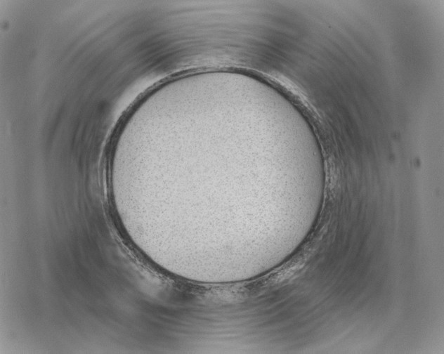 X0000078271078200611251347