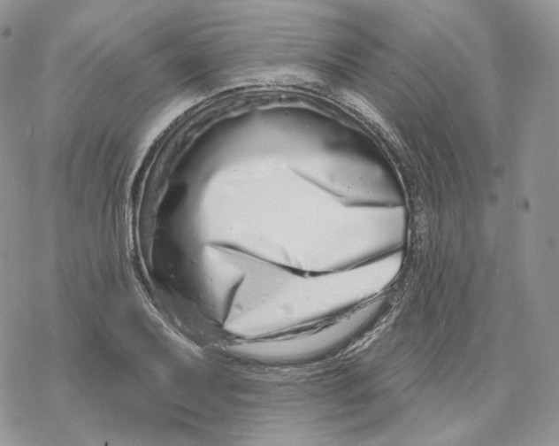 X0000078271079200611251347