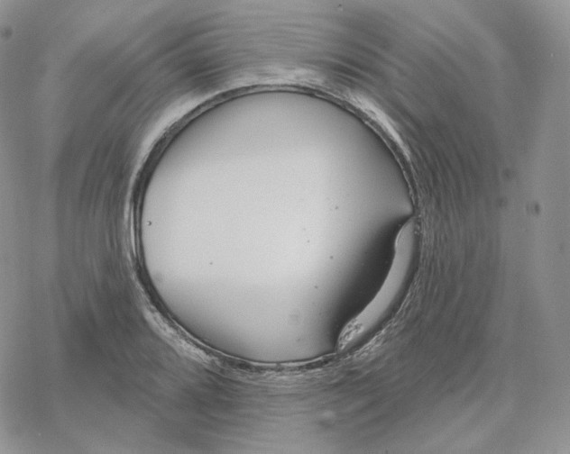 X0000078271080200611251347