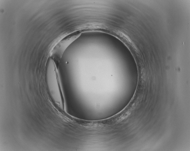 X0000078271081200611251347