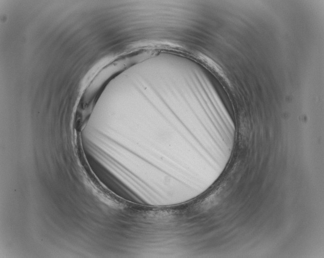 X0000078271082200611251347