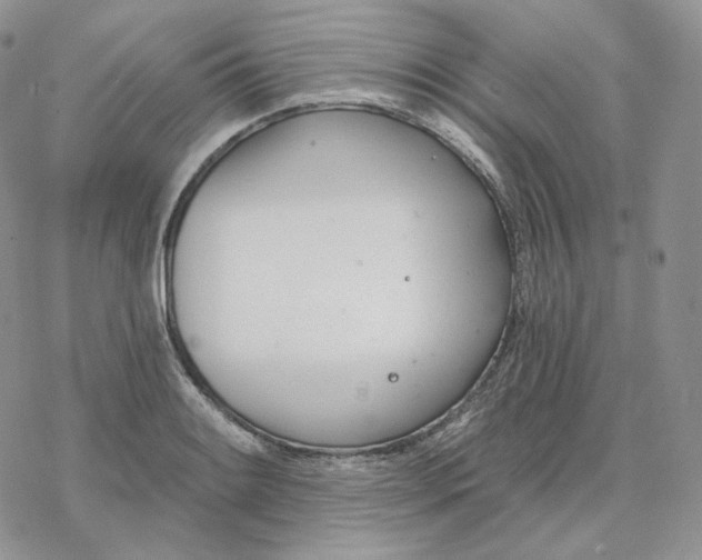 X0000078271084200611251347