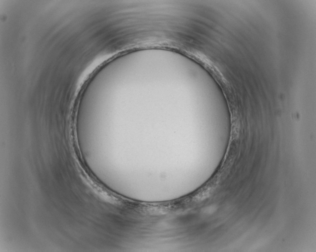 X0000078271086200611251347