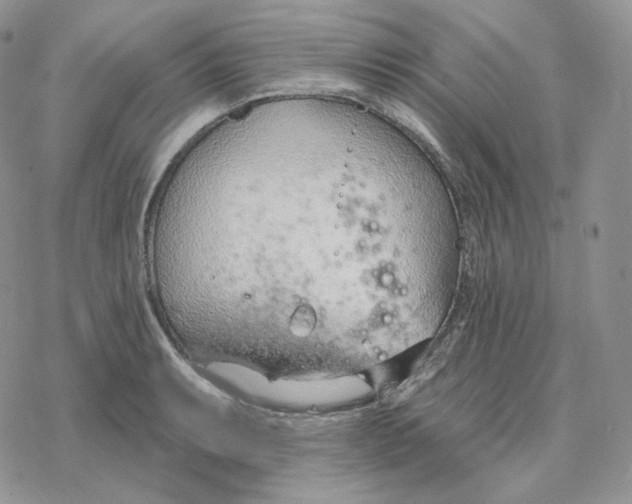 X0000078271087200611251347