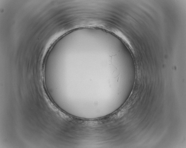 X0000078271088200611251347