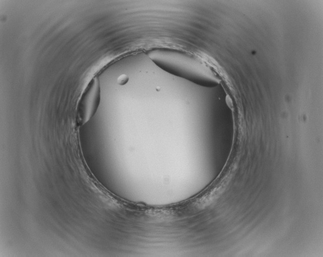 X0000078271089200611251347