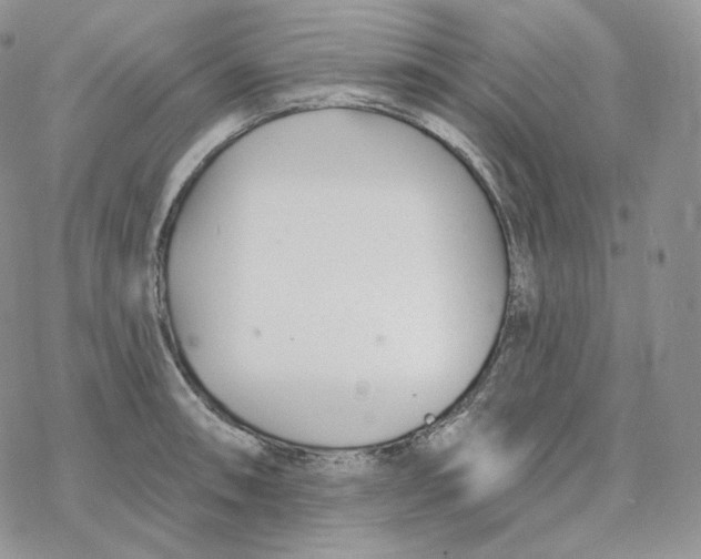 X0000078271090200611251347