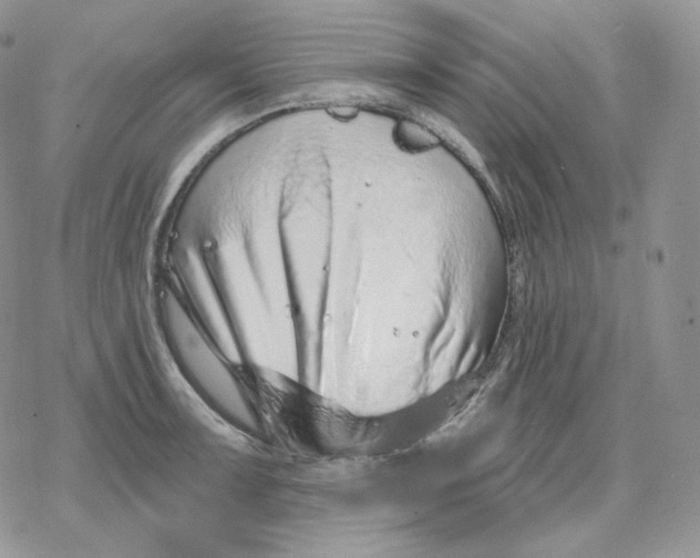 X0000078271091200611251347