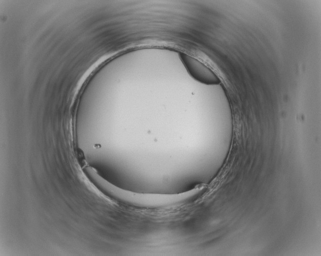 X0000078271092200611251347