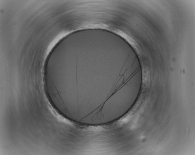 X0000078271094200611251347