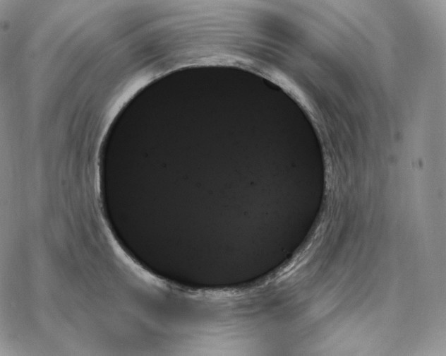 X0000078271095200611251347