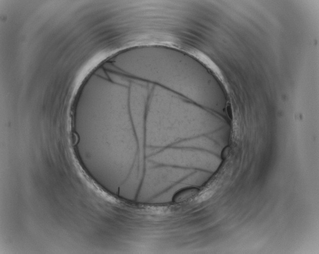 X0000078271096200611251347