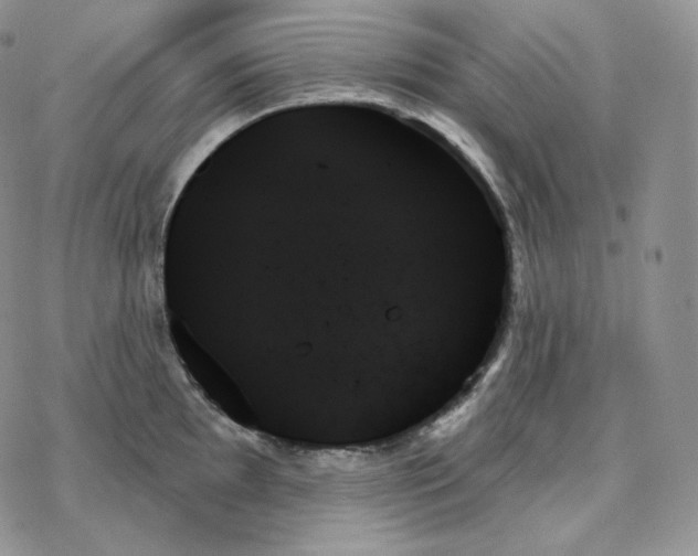 X0000078271097200611251347