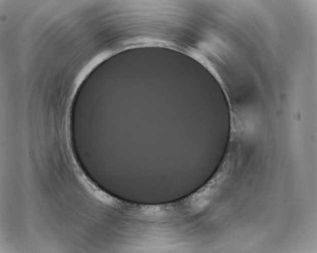 X0000078271098200611251347