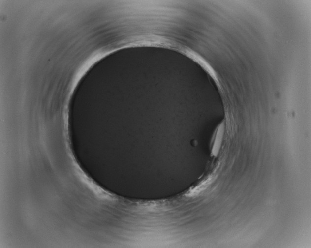 X0000078271099200611251347