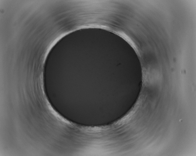 X0000078271100200611251347