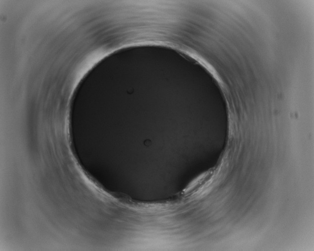 X0000078271101200611251347