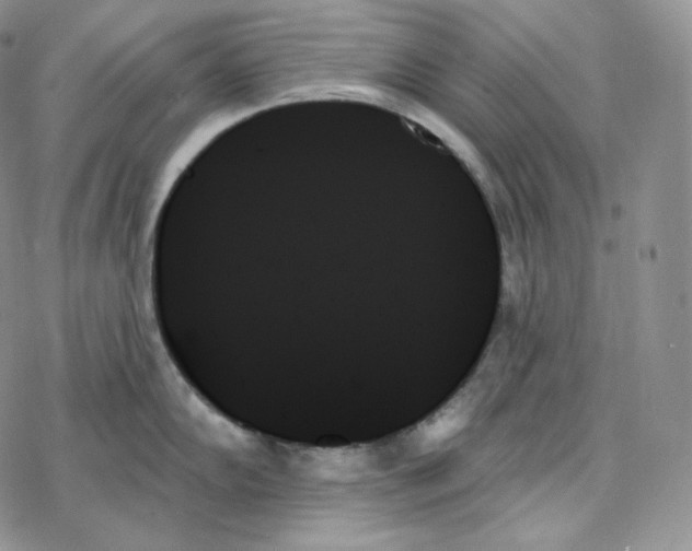 X0000078271102200611251347