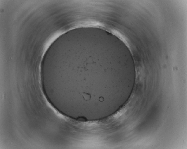 X0000078271103200611251347