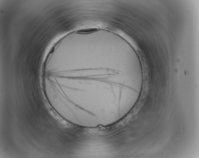 X0000078271104200611251347