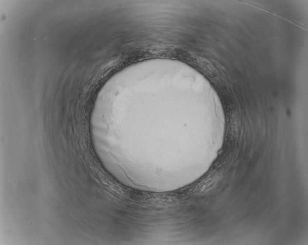 X0000078271105200611251346