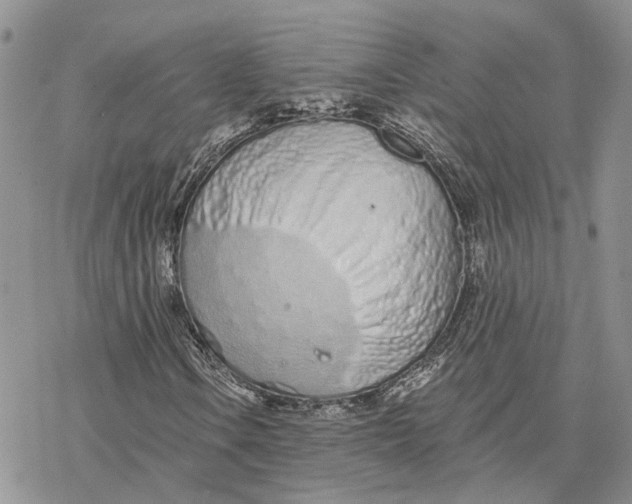 X0000078271106200611251346