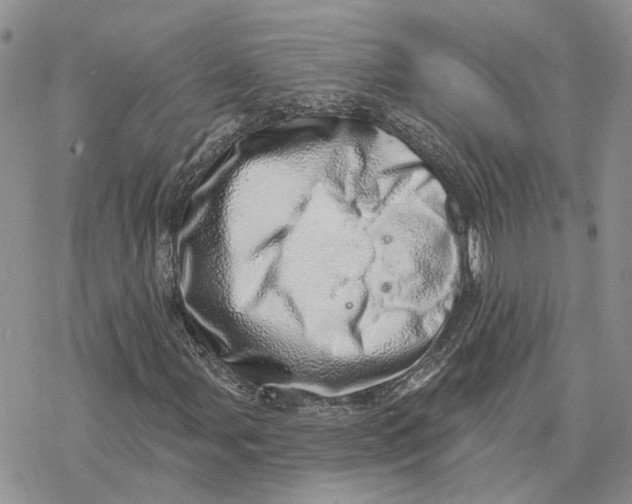 X0000078271107200611251346