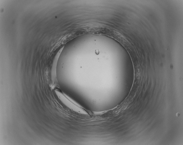 X0000078271108200611251346