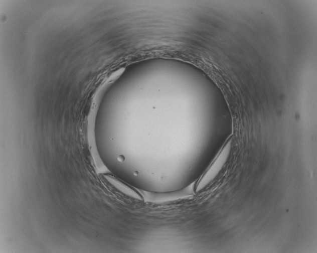 X0000078271109200611251346