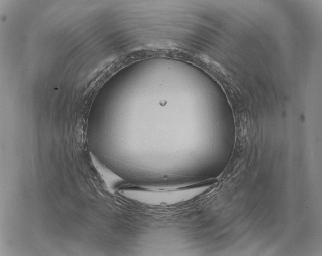 X0000078271110200611251346