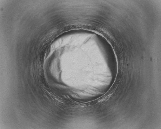 X0000078271111200611251346