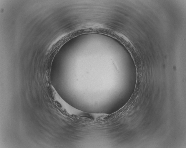 X0000078271112200611251346